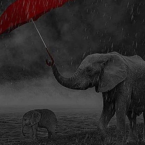 Meet your Posher, Gabriela - Picture 1 of 1